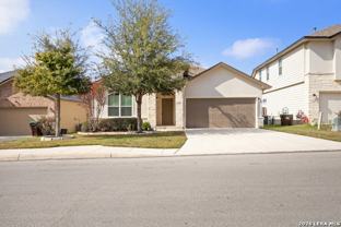 515 Sage Thrasher - Photo 1 of 1