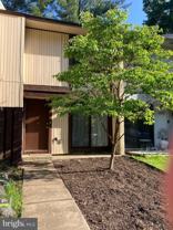 2294 White Cornus Ln - Photo 1 of 1