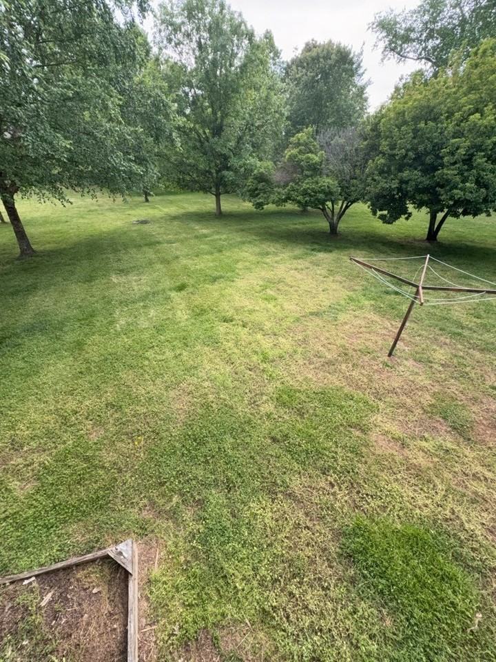 7008 Brittney Cir - Photo 3 of 16