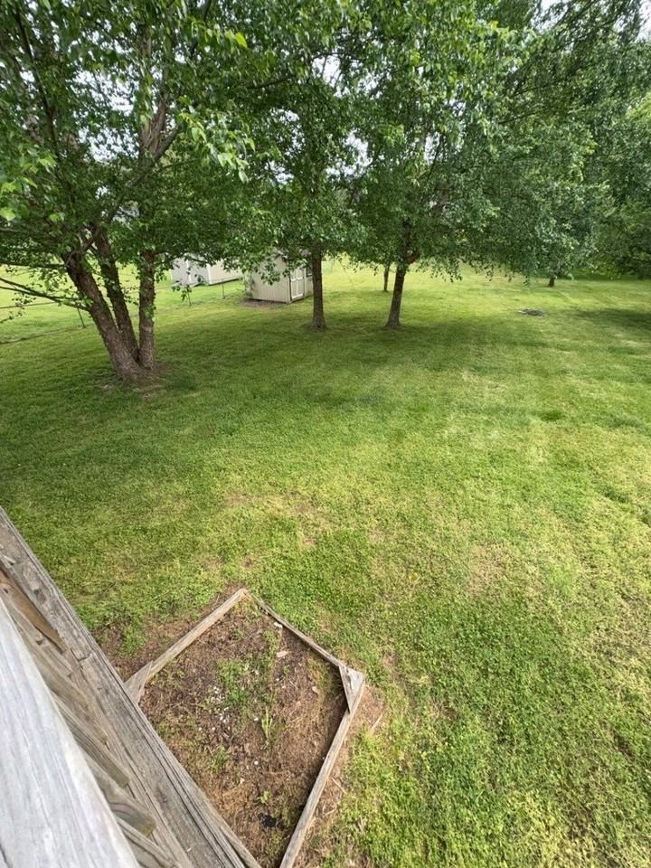 7008 Brittney Cir - Photo 4 of 16