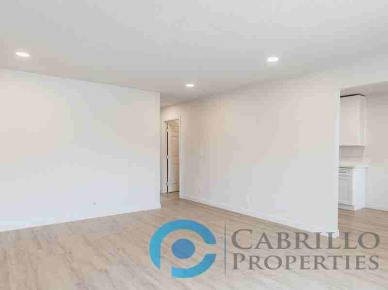 317 Tremont St #1 - Photo 5 of 27