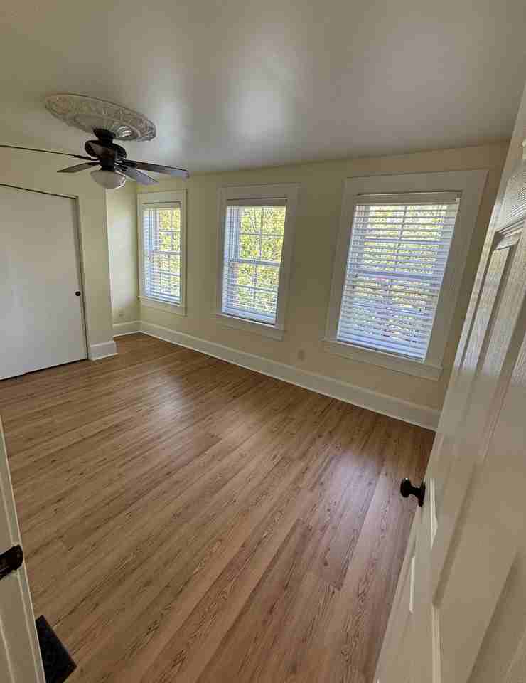 1315 Hollins St #2 - Photo 6 of 11
