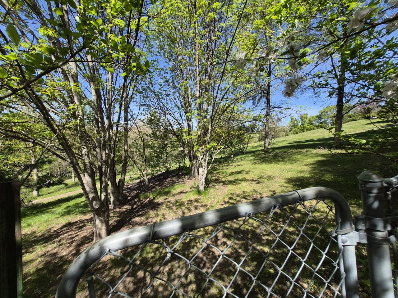 1431 Alpowa Ave #NA - Photo 6 of 31