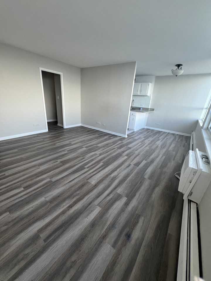 6171 N Sheridan Rd #2407 - Photo 4 of 25