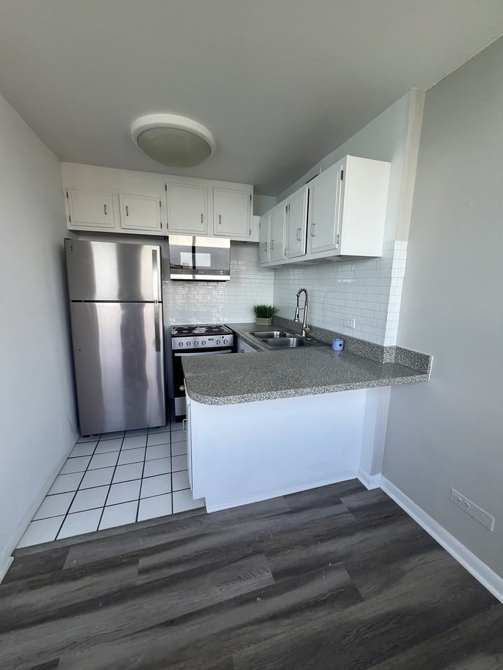 6171 N Sheridan Rd #2407 - Photo 7 of 25