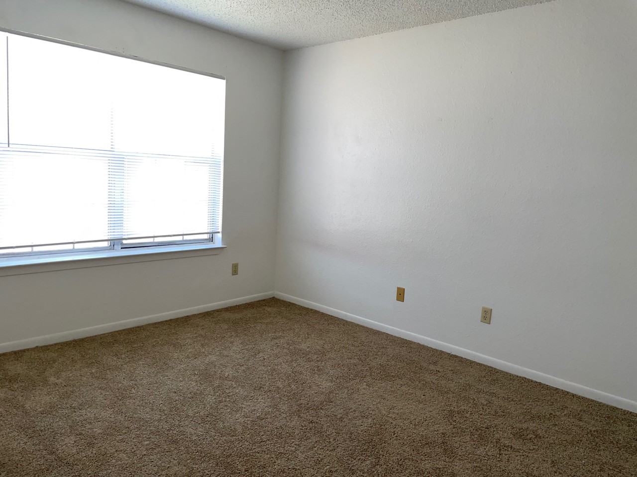 1611 S 3rd St #1300 - Photo 5 of 10