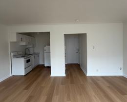 44 Balliol Street - Photo 1 of 1
