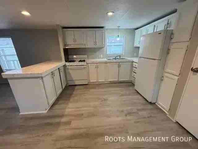 1009 W Bonny Doon Ln - Photo 4 of 16