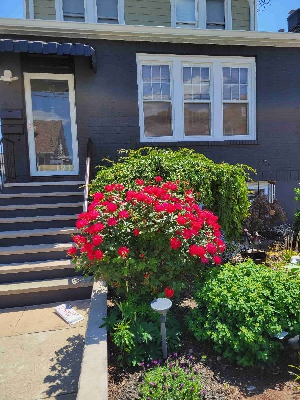 32 Hamilton Ave #2