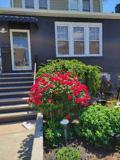 32 Hamilton Ave #2 - Photo 1 of 1