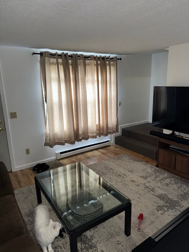 117 Sunset Ave - Photo 2 of 7