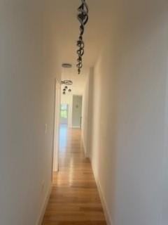 711 E 52nd St #2 - Photo 7 of 7