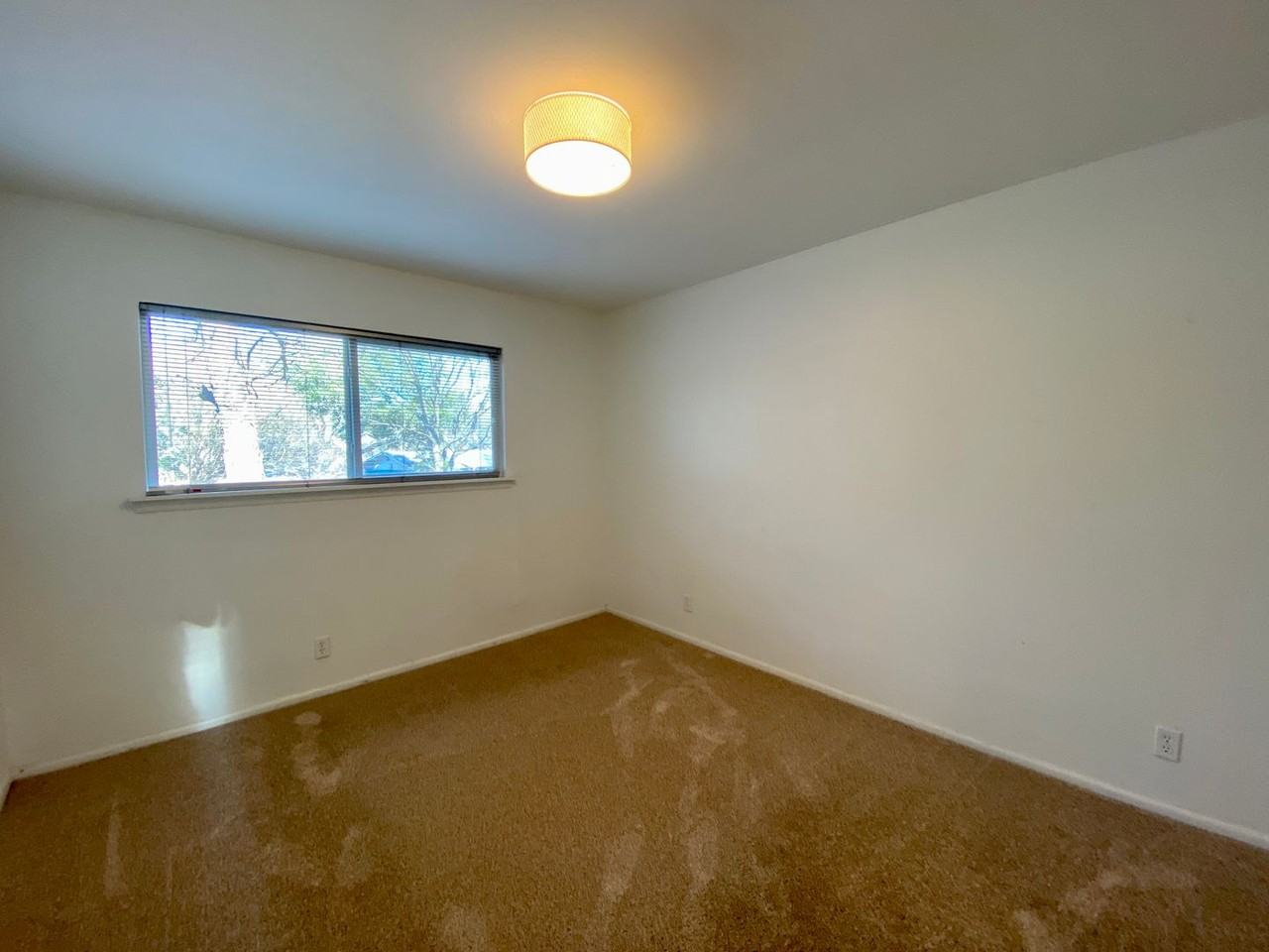 2501 Candlewood Ct - Photo 5 of 39