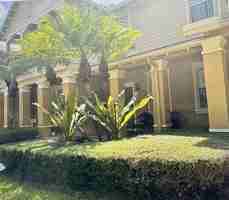 featured image of 188 W Thatch Palm Cir
