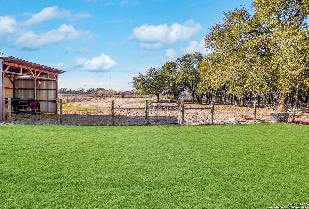 1561 County Road 320 - Photo 3 of 15