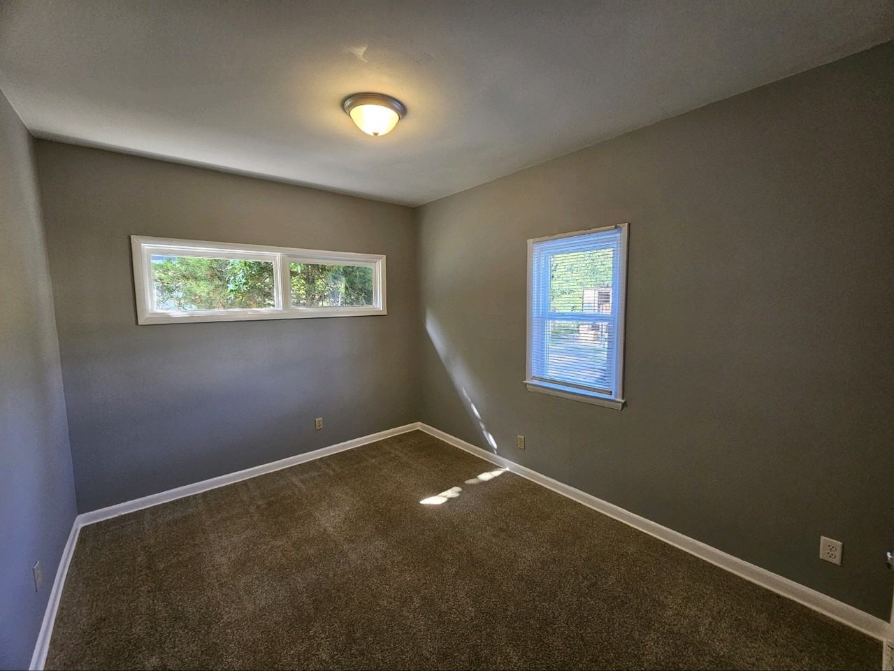 800 Chestnut St #1 - Photo 3 of 8