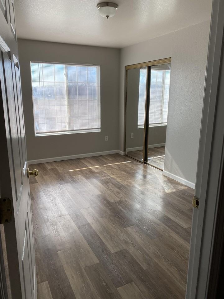 1350 West Carlson Lane - Photo 4 of 50
