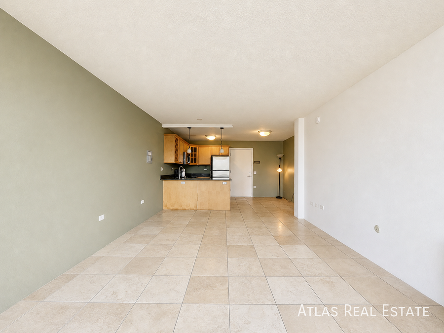 909 Logan Street Apt 9E - Photo 4 of 16