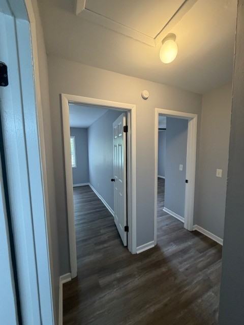 1728 Indian Land Dr #1808 - Photo 4 of 11