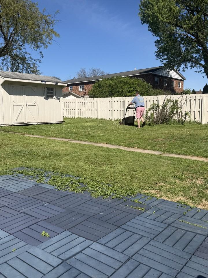 103 Violet St #NA - Photo 4 of 15
