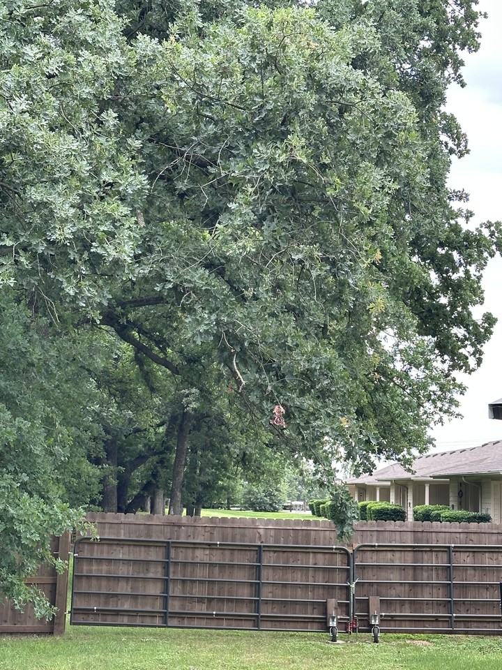 6161 Fm 902 #6175 - Photo 2 of 9
