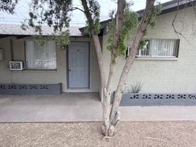 86 W Orchid Ln #6 - Photo 1 of 1