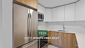 Tedi - Photo 1 of 1