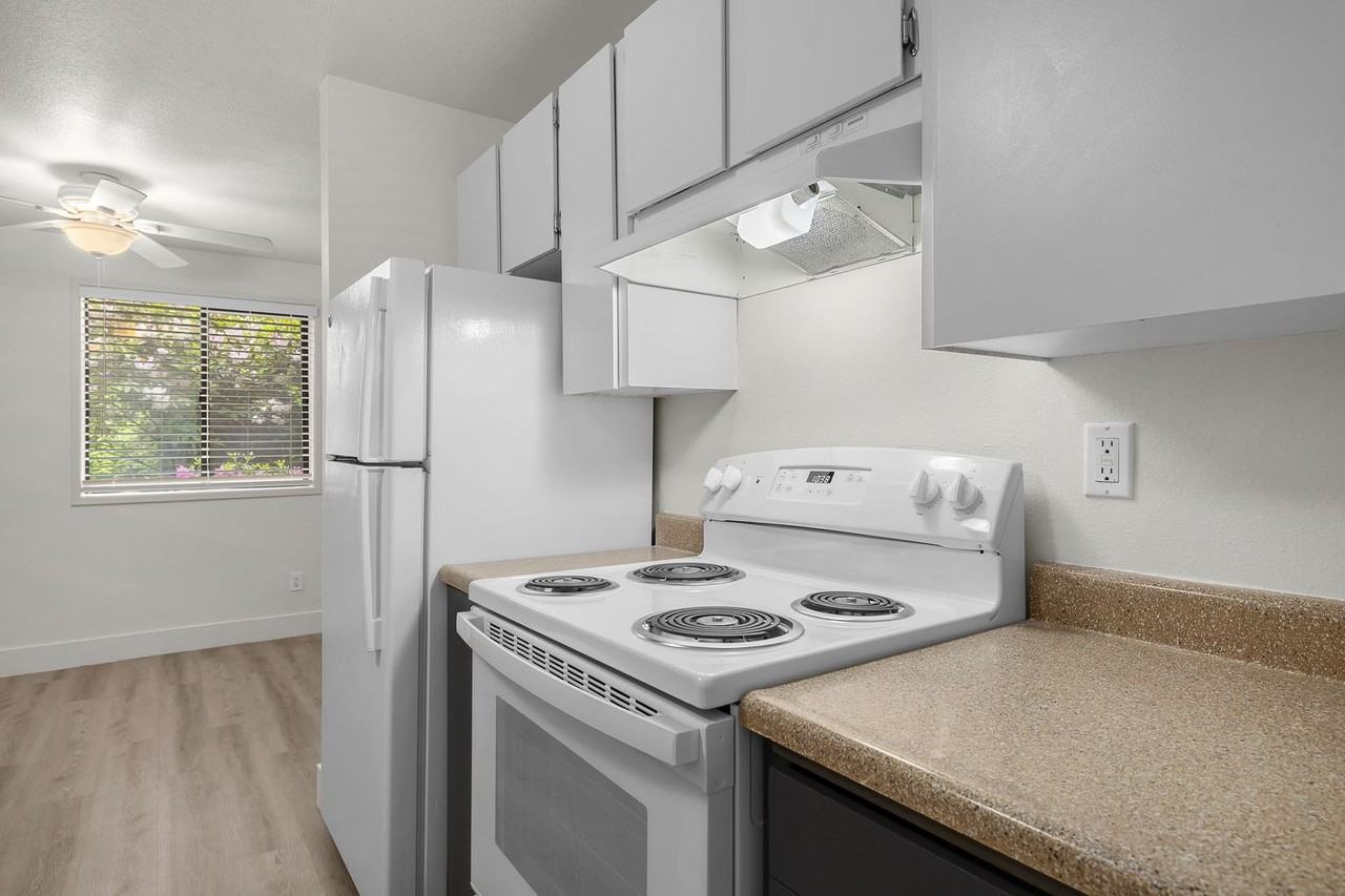 Erica Village - Photo 5 of 28