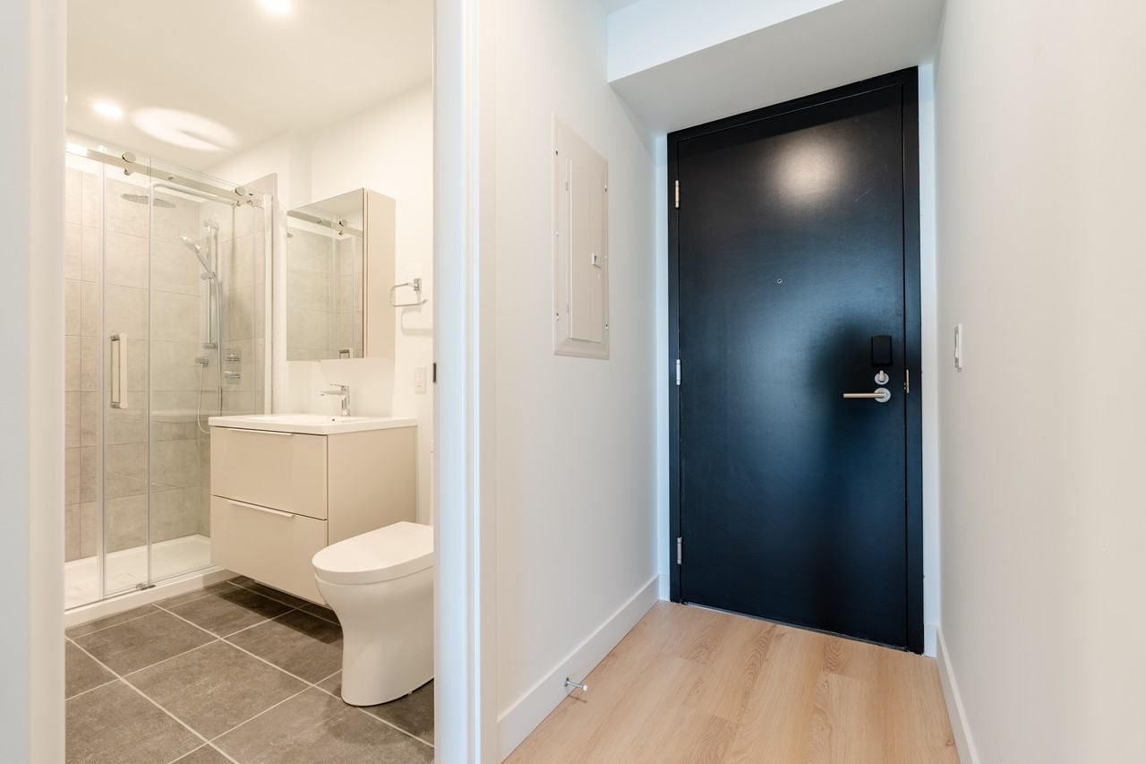 1001 Rue Lucien-L'Allier #318 - Photo 5 of 27