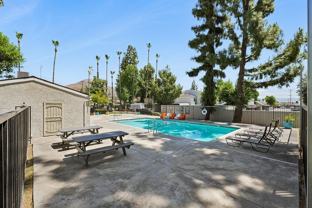 2225 Pumalo St - Photo 1 of 1