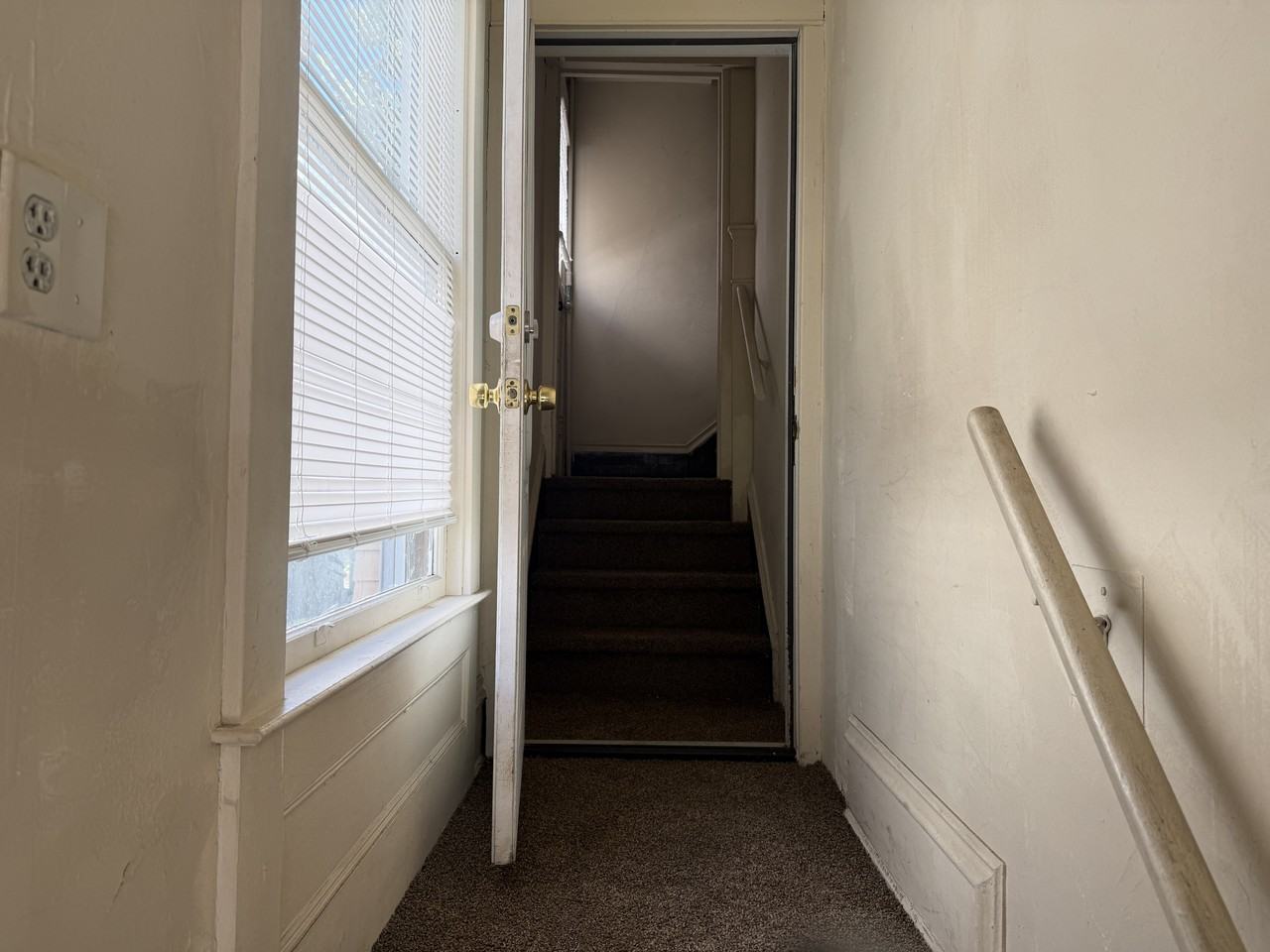 408 Lafayette St #2 - Photo 5 of 20
