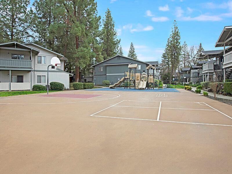 8007 Sunrise Blvd - Photo 6 of 20