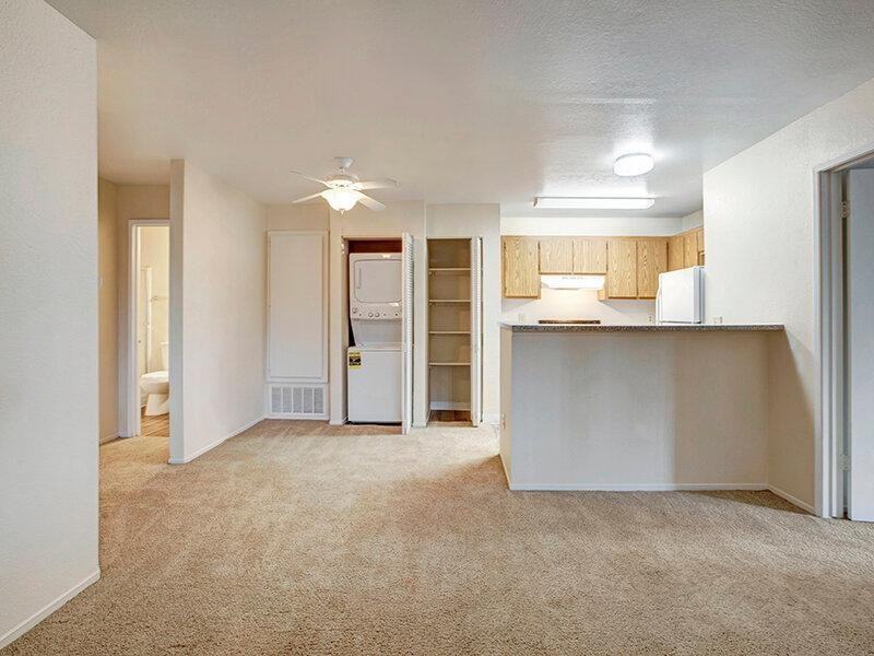 8007 Sunrise Blvd - Photo 7 of 20