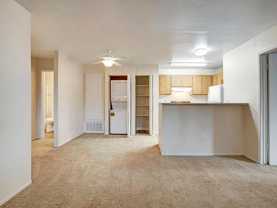 8007 Sunrise Blvd - Photo 1 of 1