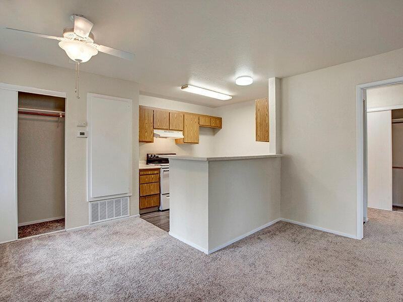 8007 Sunrise Blvd - Photo 4 of 20