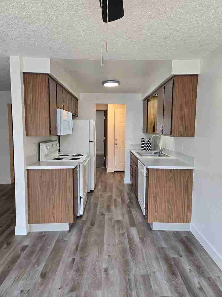 #257 ROSE PARK APTS - Photo 4 of 37