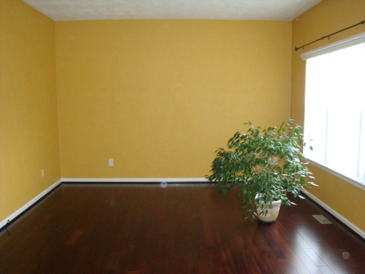 2113 Saw Mill Ct - Photo 6 of 7
