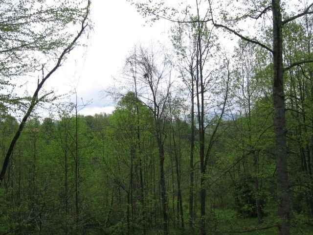 846 S Country Club Dr - Photo 3 of 39