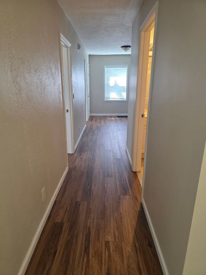 607 Hendricks St - Photo 6 of 16