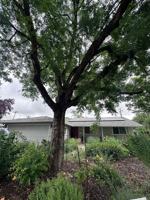 featured image of 1506 Manzanita Ln