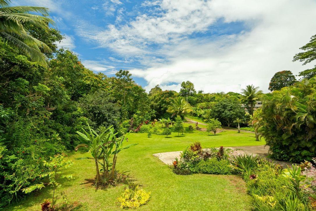 6240 Olohena Rd - Photo 4 of 10