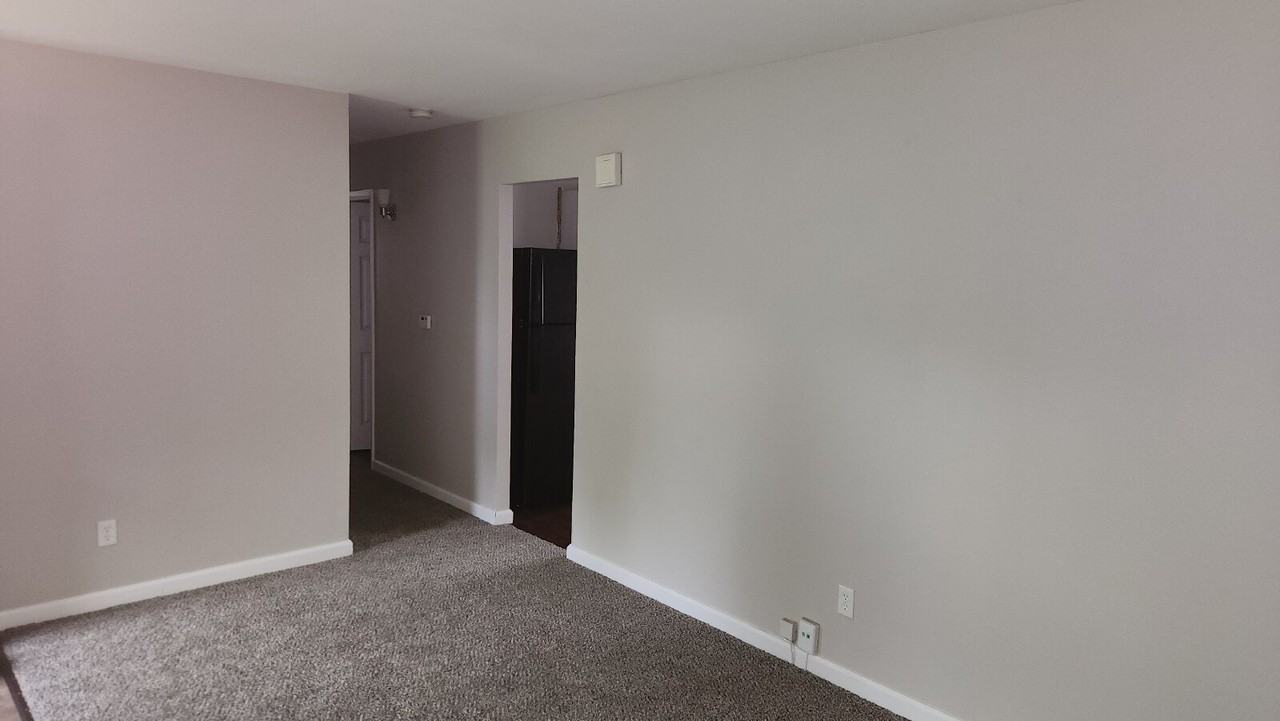 7323 Landi Ct - Photo 4 of 14