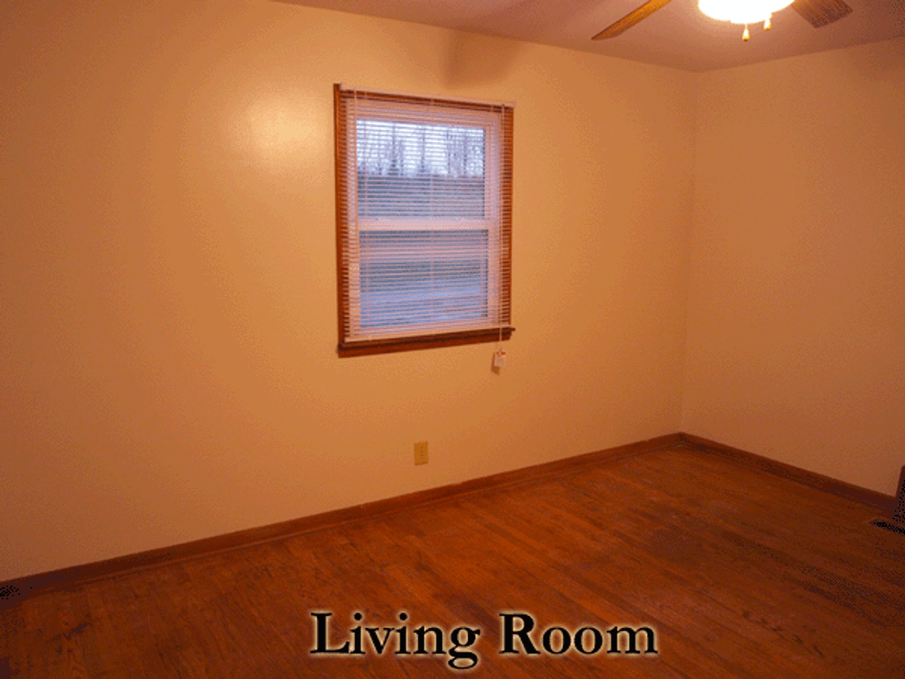 310 Friendship Dr - Photo 5 of 16