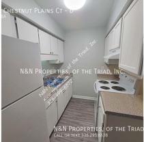 1398 Chestnut Plains Ct #D - Photo 1 of 1