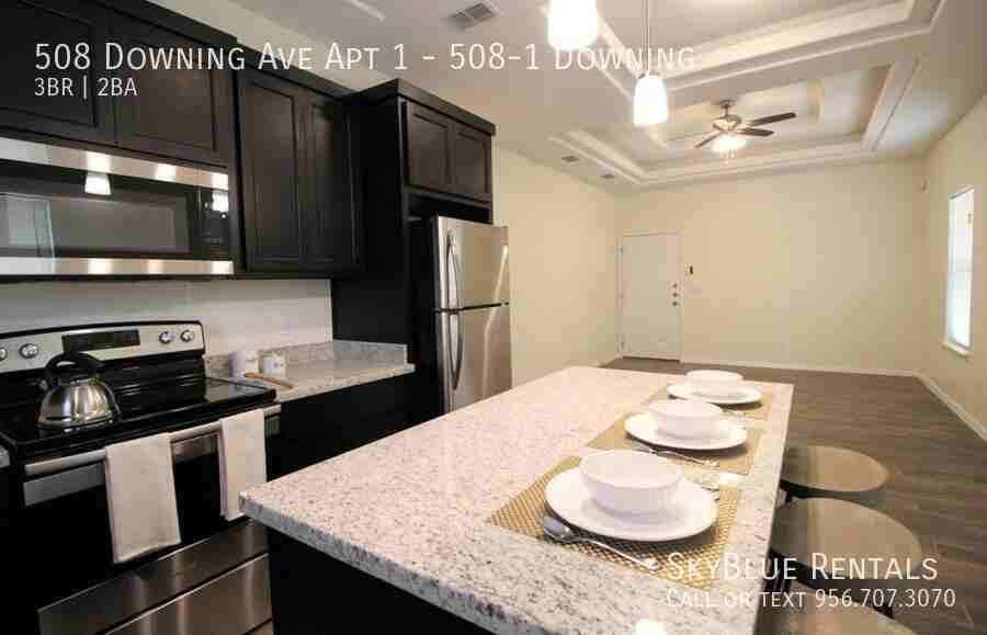 508 Downing Ave Apt 1 - Photo 4 of 8