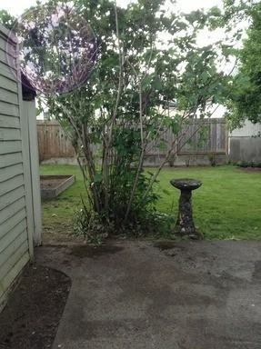 3723 Se Stephens St - Photo 3 of 4