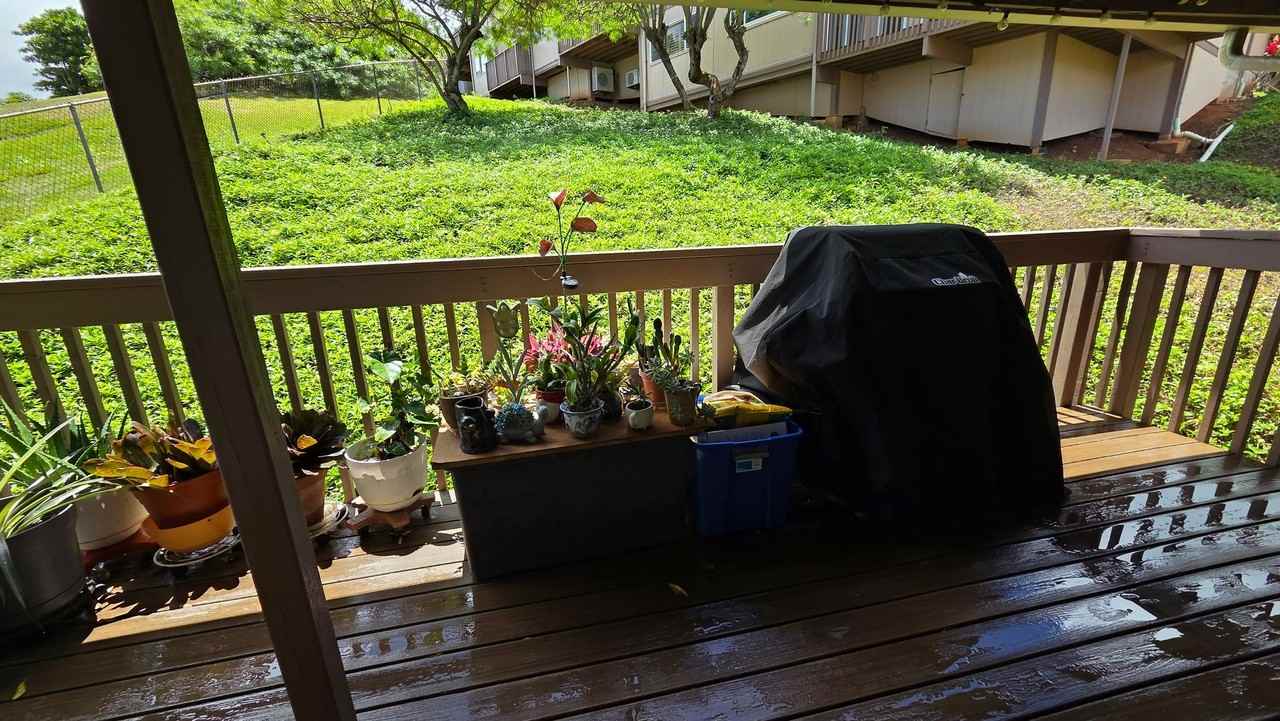 1199 Akipohe St Apt C - Photo 4 of 12