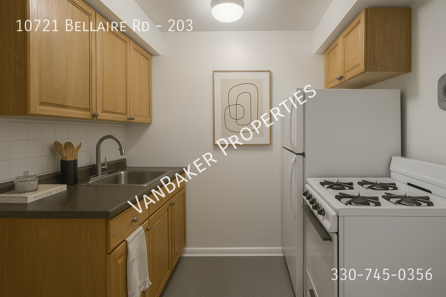 10721 Bellaire Rd #203 - Photo 3 of 8