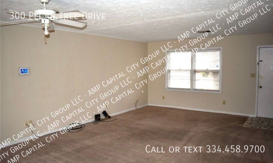 300 Pecan Tree Dr - Photo 3 of 20