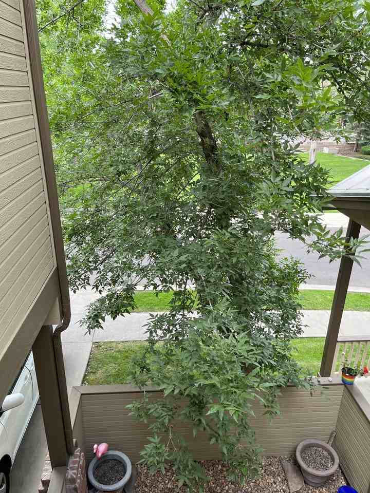 818 S Terry St #NA - Photo 6 of 24